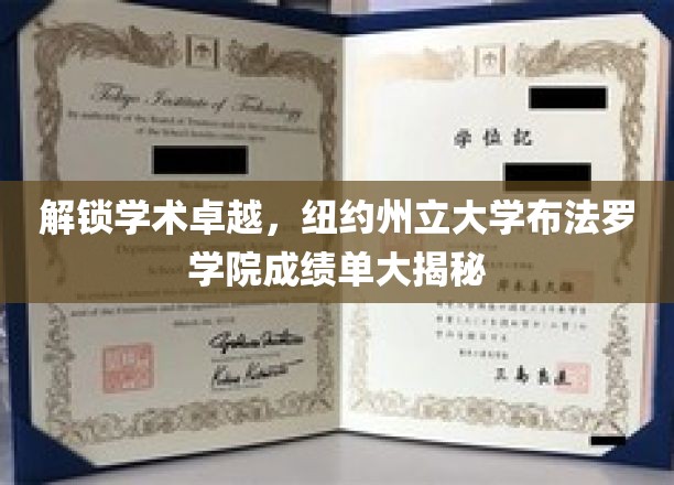 探寻学术巅峰，纽约州立大学布法罗学院揭秘非凡成就