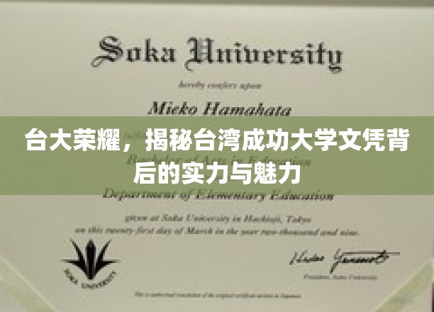 台湾之光，成功大学文凭的内在实力与独特魅力全解析