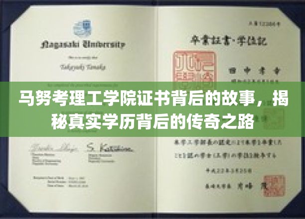 马努考理工学院证书背后的传奇，一场学历与梦想的交织之旅