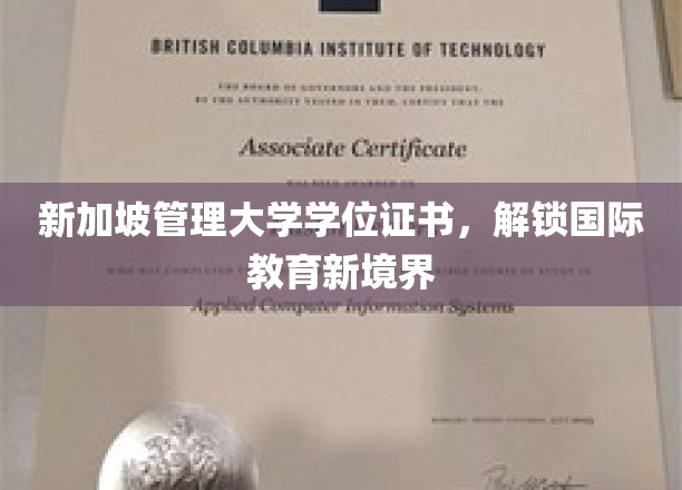 新加坡管理大学证书，开启全球教育新篇章