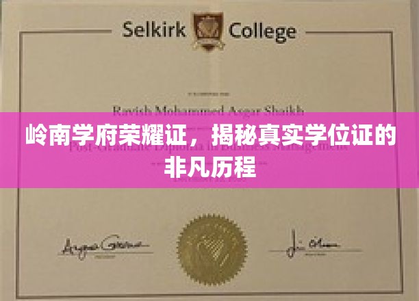 学位荣耀之路，岭南学府见证非凡学历之旅