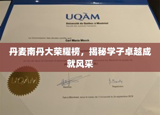 丹麦南丹麦大学荣耀榜，探秘学子卓越成就风采
