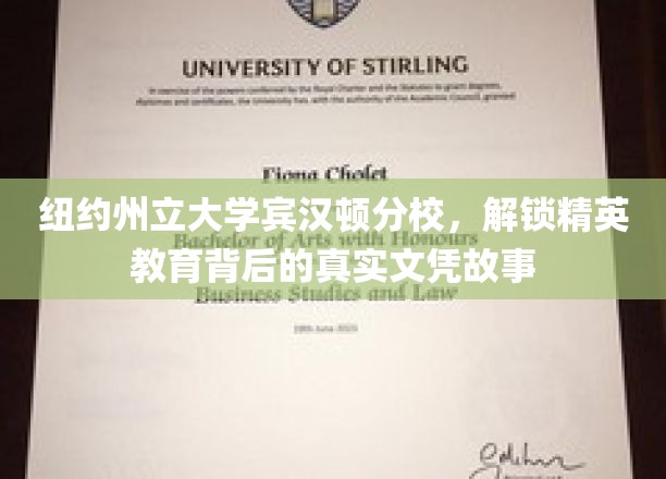 解码精英摇篮，纽约州立大学宾汉顿分校的文凭传奇