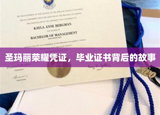 揭开圣玛丽荣耀凭证背后的传奇毕业证书之谜