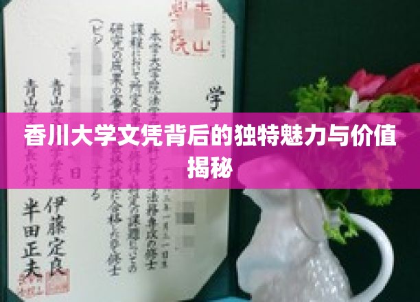 探索香川大学文凭的隐秘魅力和价值所在