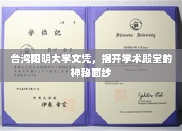 台湾阳明大学文凭，探秘顶尖学府的荣耀之路