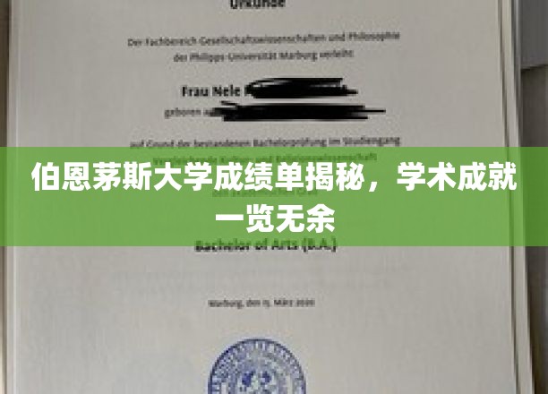 伯恩茅斯大学成绩单揭秘，学术成就一览无余