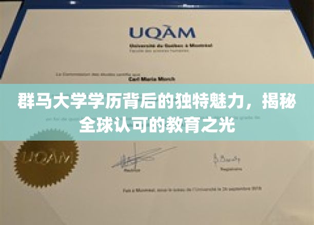 群马大学学历背后的独特魅力，揭秘全球认可的教育之光
