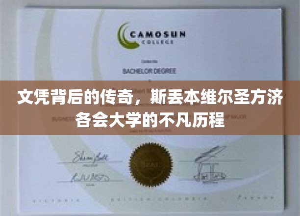 文凭背后的传奇，斯丢本维尔圣方济各会大学的不凡历程