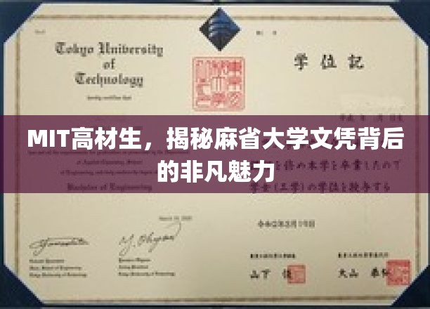 MIT高材生，揭秘麻省大学文凭背后的非凡魅力