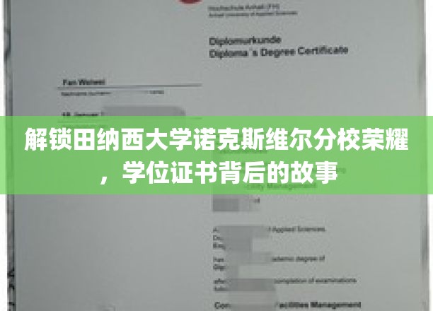 解锁田纳西大学诺克斯维尔分校荣耀，学位证书背后的故事