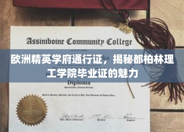 欧洲精英学府的通行证，一探究竟都柏林理工学院毕业证的无穷魅力