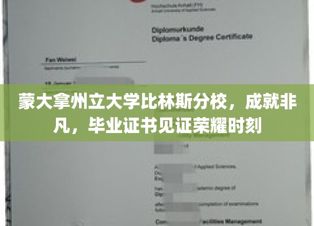 蒙大拿州立大学比林斯分校，荣誉证书见证辉煌成就时刻