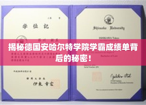 揭秘德国安哈尔特学院学霸成绩单背后的秘密！