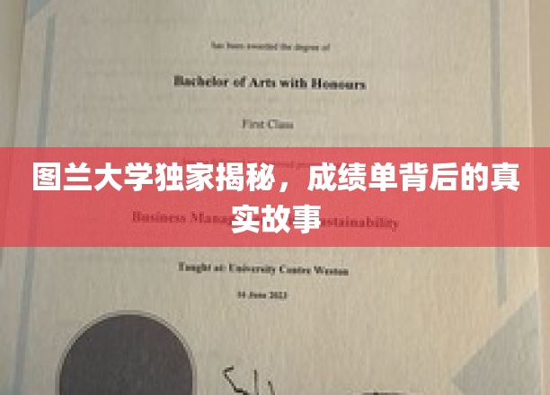 图兰大学揭秘，成绩单背后的不凡篇章