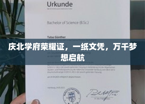 梦想启航点，庆北学府荣耀文凭见证非凡前程