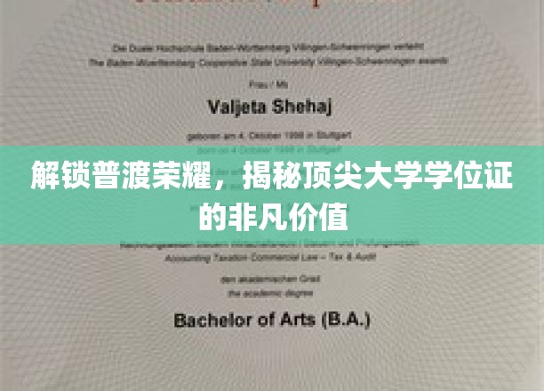 学位证背后的荣耀密码，顶尖学府学位的价值揭秘之旅