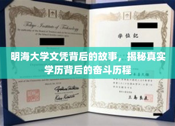 明海大学文凭背后的故事，揭秘真实学历背后的奋斗历程