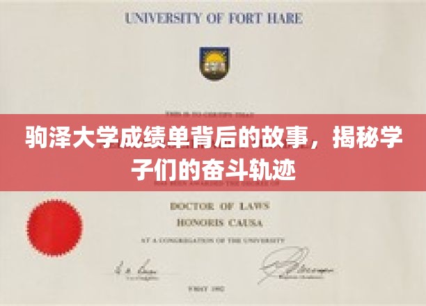 驹泽学子奋斗足迹，揭秘成绩单背后的拼搏历程