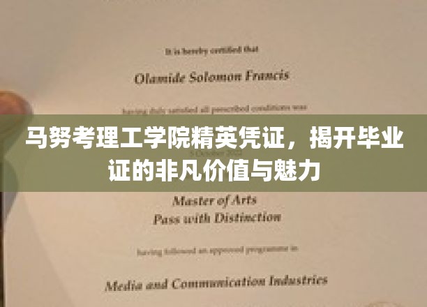 马努考理工学院毕业证，解码非凡学历背后的价值密码