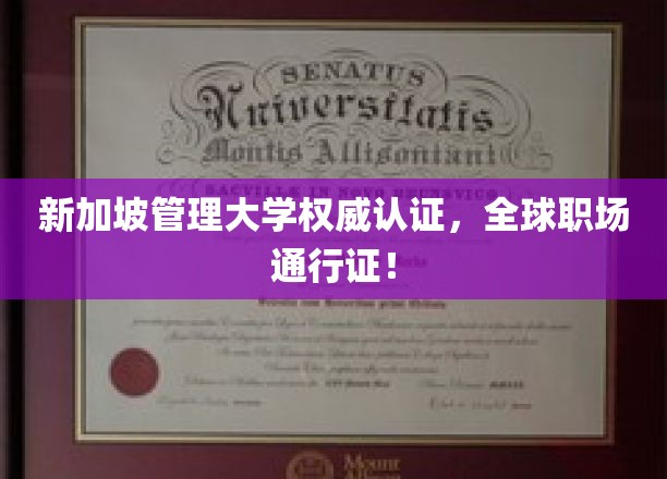 新加坡管理大学权威认证，全球职场通行证！