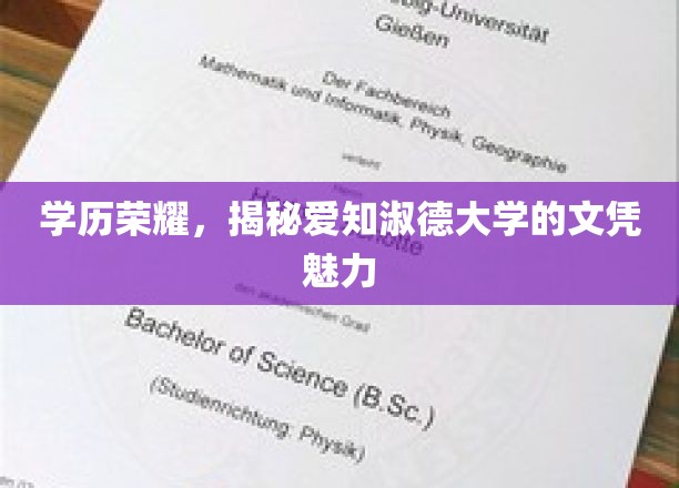 学位之光，探秘爱知淑德大学的文凭魅力