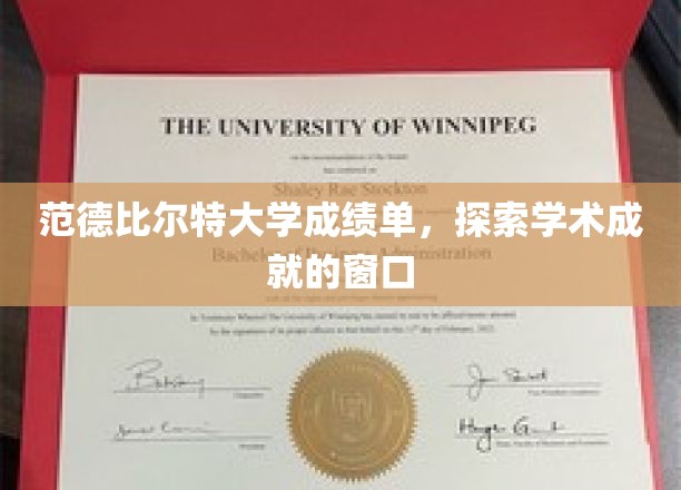 解码学术辉煌，范德比尔特大学成绩单背后的故事