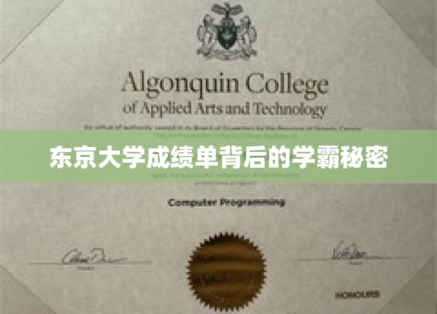 东京大学成绩单背后的学霸秘密