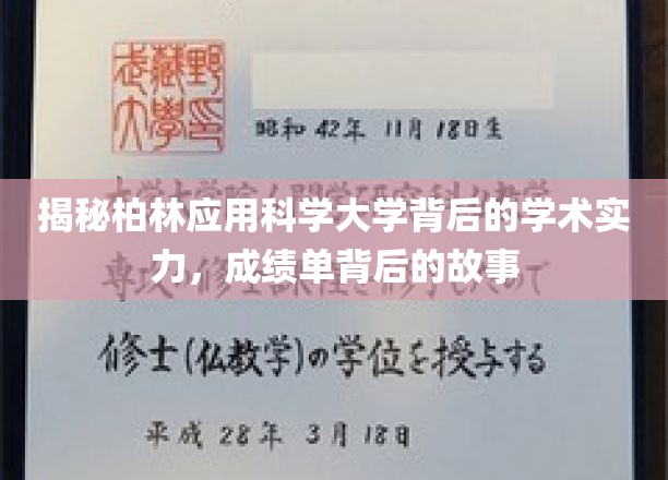 解码柏林应用科学大学，揭秘学术殿堂背后的辉煌篇章
