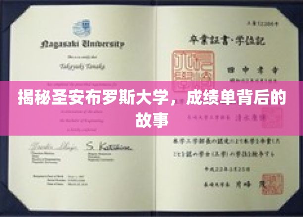 探寻圣安布罗斯大学，揭开成绩单背后的神秘面纱