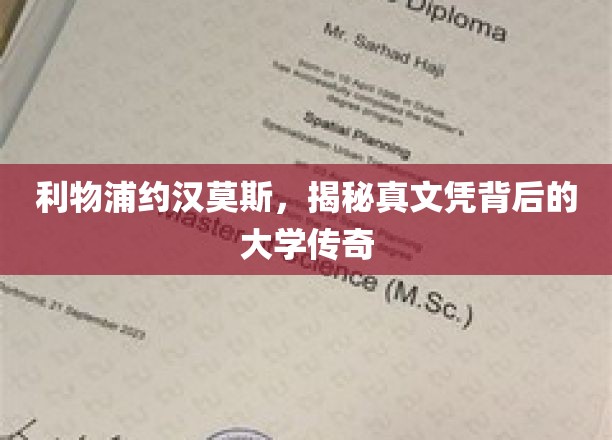利物浦传奇球星约汉莫斯，探寻其神秘真文凭背后的高校历程