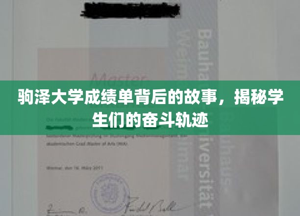 驹泽大学成绩单，揭开学子拼搏之路的神秘面纱