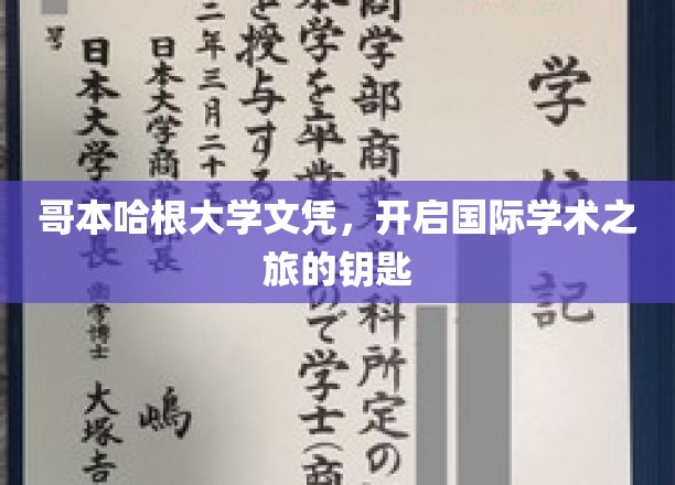 跨国学术通行证，哥本哈根大学文凭，解锁全球学术之门