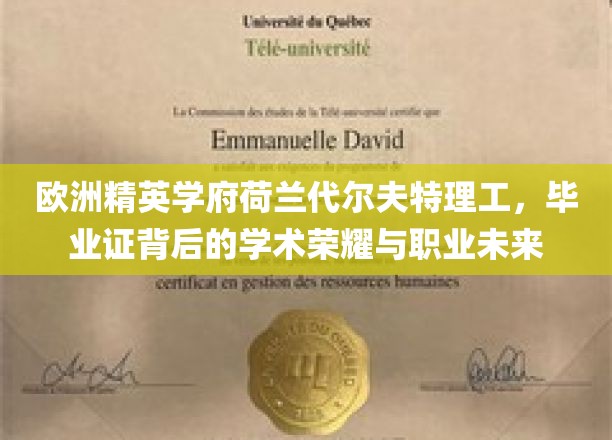 荷兰代尔夫特理工，精英摇篮里的学术辉煌与璀璨职业前景