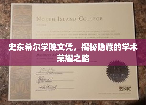 揭开史东希尔学院文凭背后的璀璨荣耀之旅