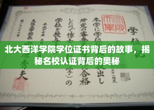 北大西洋学院学位证书背后的故事：揭开名校认证的神秘面纱