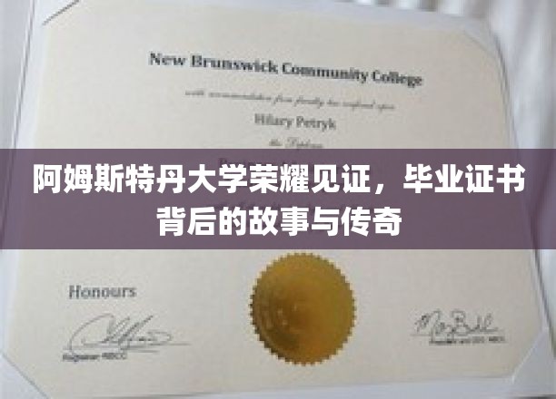阿姆斯特丹荣耀时刻，一纸证书，揭开百年学府的传奇往事
