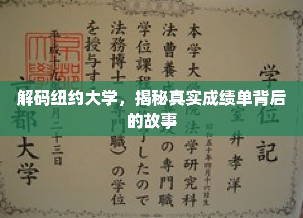 解码纽约大学，揭秘真实成绩单背后的故事