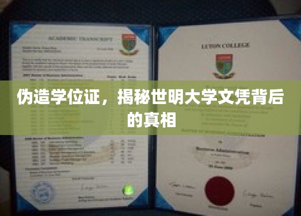 伪造学位证，揭秘世明大学文凭背后的真相