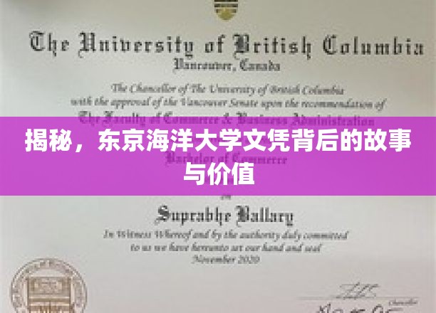 揭秘，东京海洋大学文凭背后的故事与价值