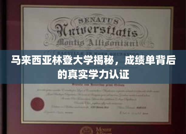 揭秘林登大学成绩单，马来西亚教育的真实实力曝光