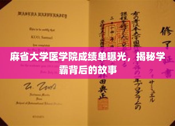 麻省医学院学霸档案大公开，揭秘高分背后的奋斗历程