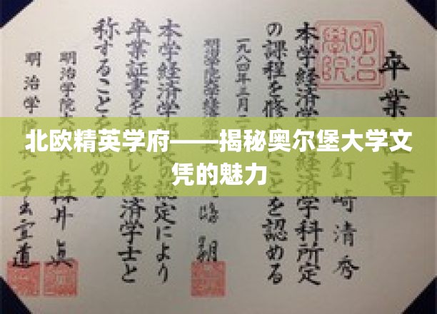 解锁北欧教育瑰宝，奥尔堡大学文凭的独特魅力