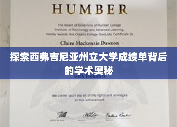 揭开西弗吉尼亚州立大学成绩单的秘密世界