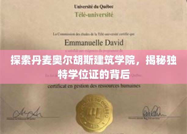 揭开奥尔胡斯建筑学院神秘学位证的奥秘之旅