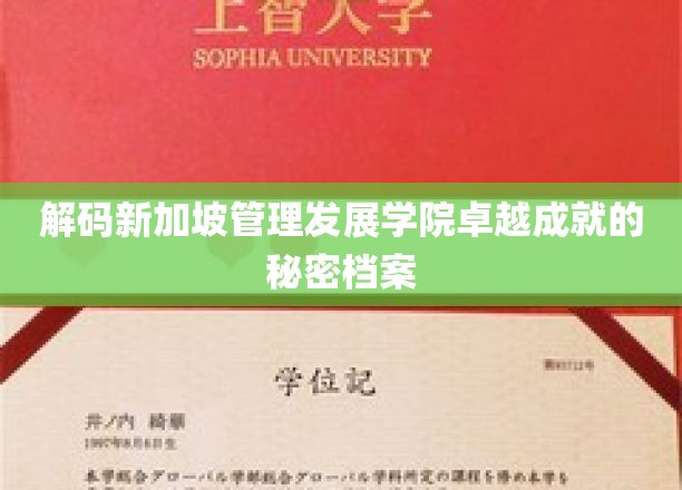 解码新加坡管理发展学院卓越成就的秘密档案