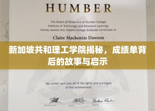 新加坡共和理工学院揭秘，成绩单背后的真实故事与成长启示