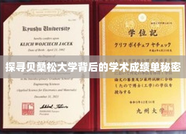解码贝桑松大学，揭秘其卓越学术成就的秘密武器