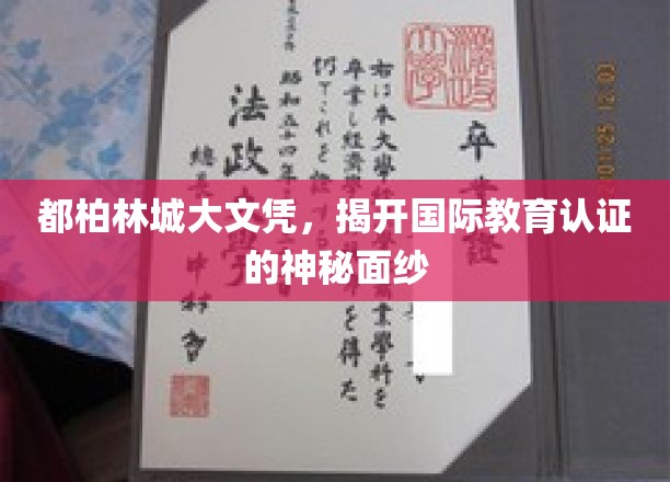 都柏林城市大学文凭，展现国际教育认证的辉煌成就