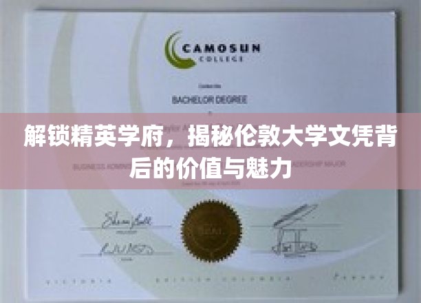 探索精英学府，揭秘伦敦大学文凭背后的价值与魅力